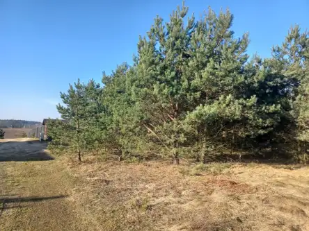  Sikorzyno   Osiedle Leśny Raj 