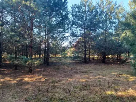 Sikorzyno ,  Osiedle Leśny Raj   5