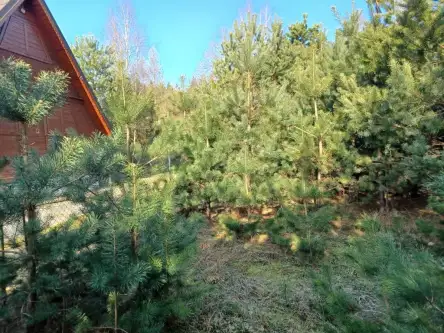 Sikorzyno ,  Osiedle Leśny Raj   6