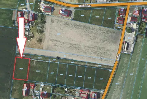 łubniany ,  Sosnowa   2