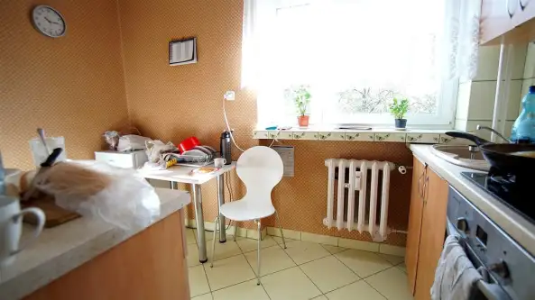 Opole ,  Alojzego Dambonia   4