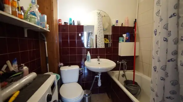 Opole ,  Alojzego Dambonia   5