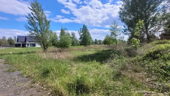 Opole ,  Urodzaju   7