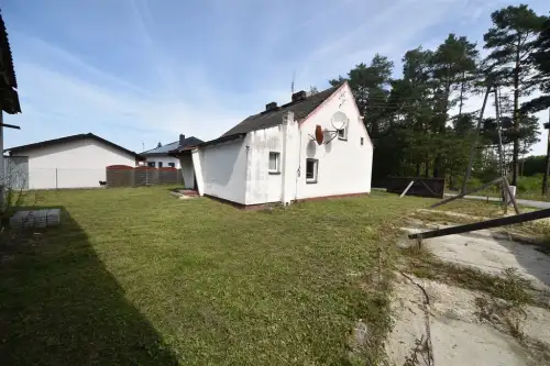 Szczedrzyk ,  Daniecka   10