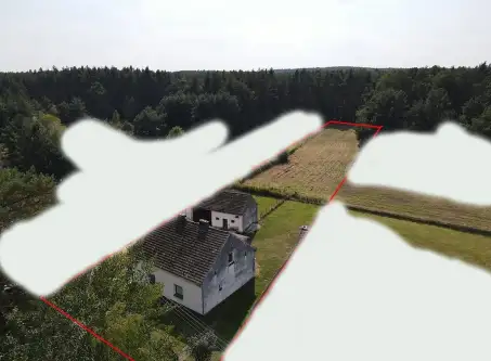 Szczedrzyk ,  Daniecka   2