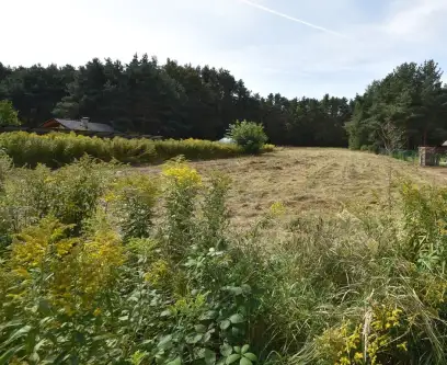 Szczedrzyk ,  Daniecka   9