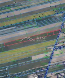  Janczewice   Żytnia 