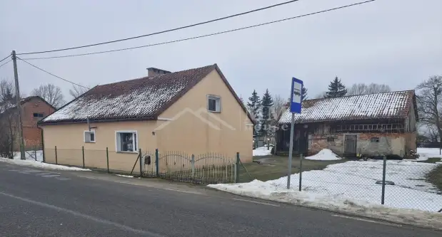 Kurowo braniewskie   2