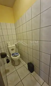 Kurowo braniewskie   8