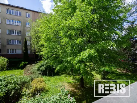 Kraków ,  Kryniczna   11