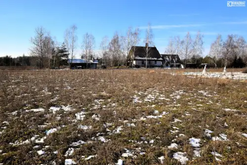 Pryszczowa góra   3