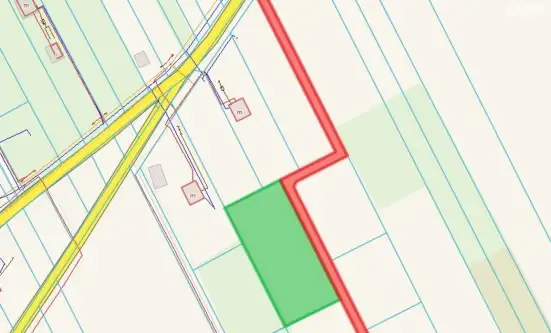 Pryszczowa góra   5