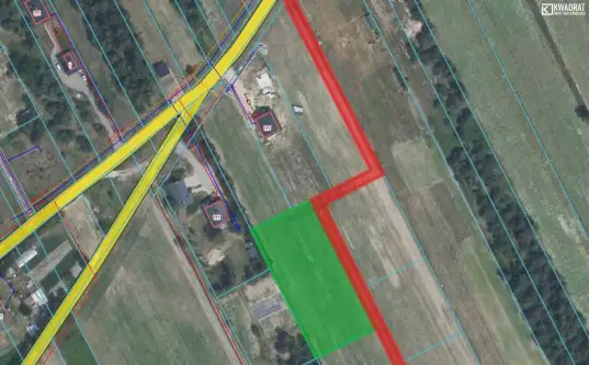 Pryszczowa góra   6