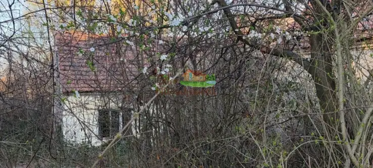 łagoszów mały   3