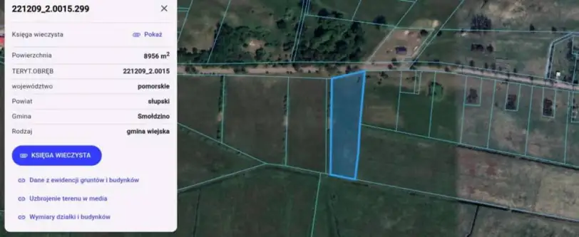 Smołdziński las   3