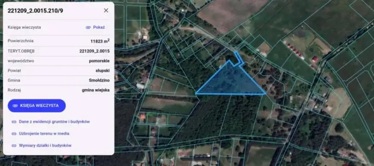 Smołdziński las   2