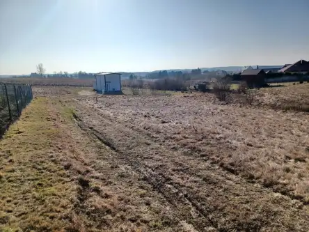 Kamela ,  Wiktorii   10