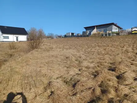 Kamela ,  Wiktorii   2