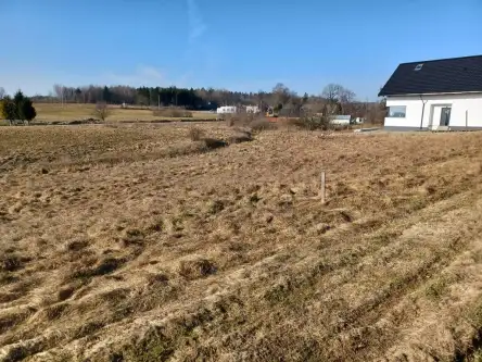 Kamela ,  Wiktorii   3