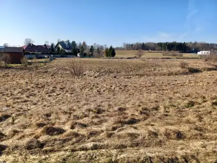 Kamela ,  Wiktorii   6