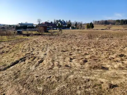 Kamela ,  Wiktorii   8