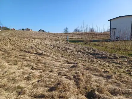 Kamela ,  Wiktorii   9