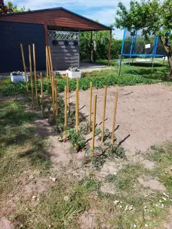 Strzelce krajeńskie ,  Gorzowska   8