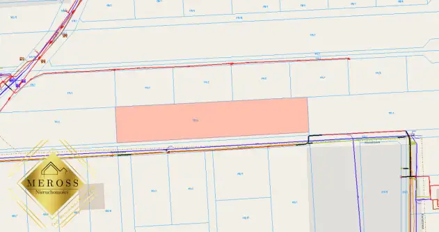 Kamienica polska   8