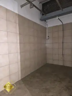 Strzelce wielkie   12