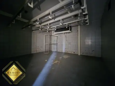 Strzelce wielkie   15