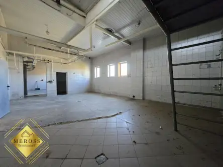 Strzelce wielkie   17