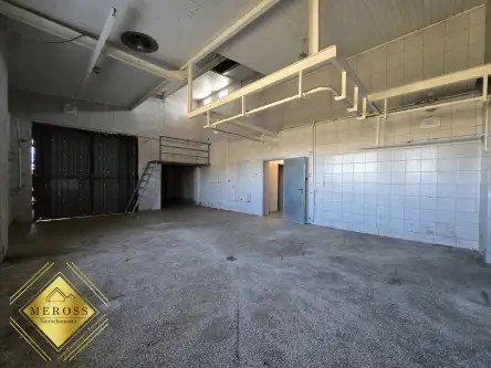 Strzelce wielkie   19