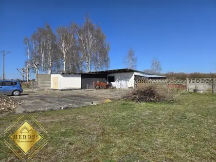 Strzelce wielkie   2