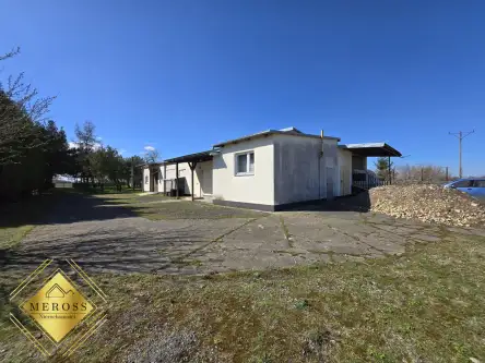 Strzelce wielkie   3