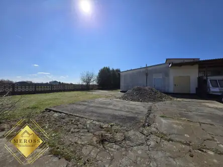 Strzelce wielkie   5