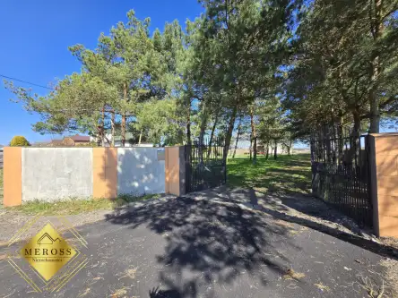 Strzelce wielkie   6