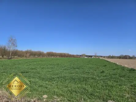 Strzelce wielkie   9