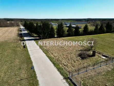 Gryźliny ,  Grzybowa   10