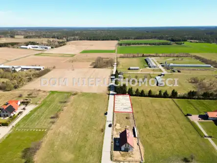 Gryźliny ,  Grzybowa   2