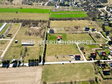 Gryźliny ,  Grzybowa   4