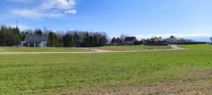 Donimierz ,  Nowinki   12