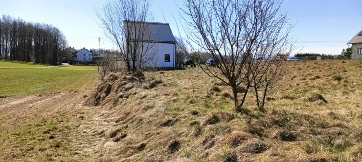 Donimierz ,  Nowinki   14