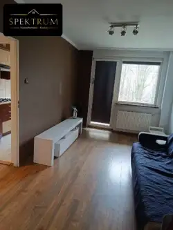 Bytom ,  Konstytucji   5