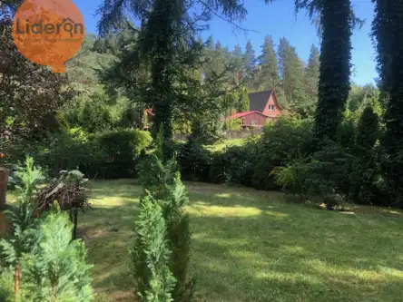 Dłużek ,  Różana   14