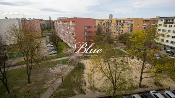 Szczecin ,  al. Wyzwolenia   10