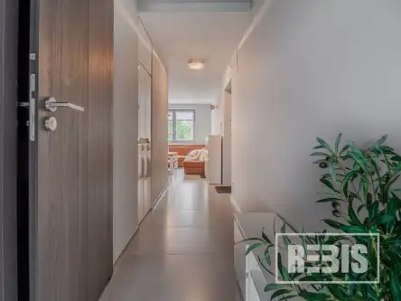 Kraków ,  Królowej Jadwigi   8