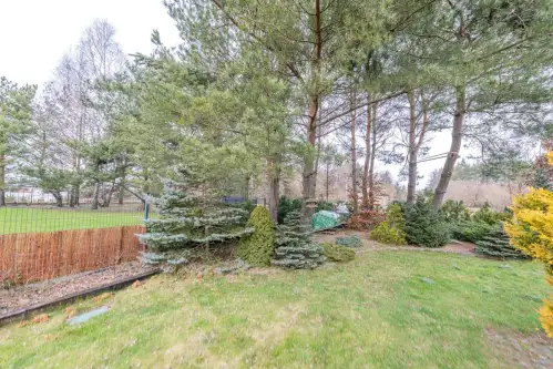 Bojano ,  Woskowa   19