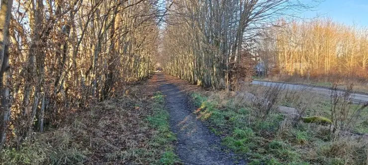 Kąpino ,  Akacjowa   9