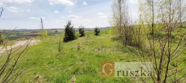 Luzino ,  Żołnierzy Niezłomnych   11