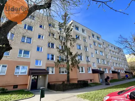 Łódź ,  Falista   19